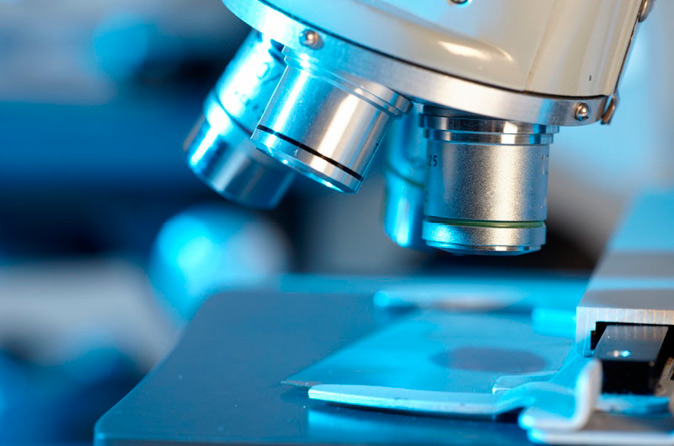 Microscopical examination